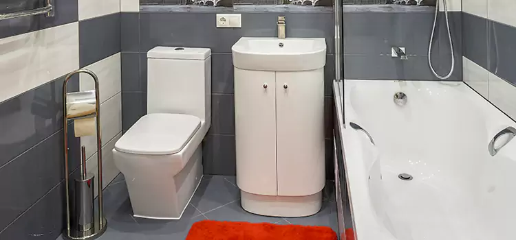Hansgrohe Shaving Mirror Huntington Station